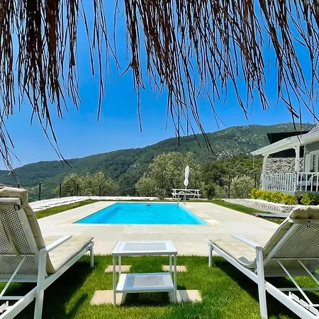 The Box House & Charming Private Tiny House & Pool Вилла