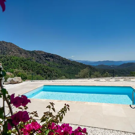 The Box House & Charming Private Tiny House & Pool * Gocek (Fethiye)