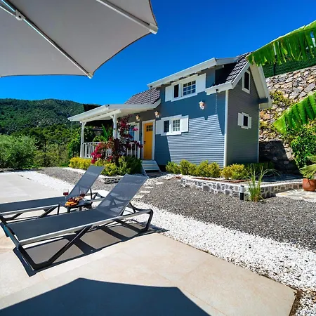 The Box House & Charming Private Tiny House & Pool Вилла Гёчек