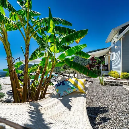 The Box House & Charming Private Tiny House & Pool